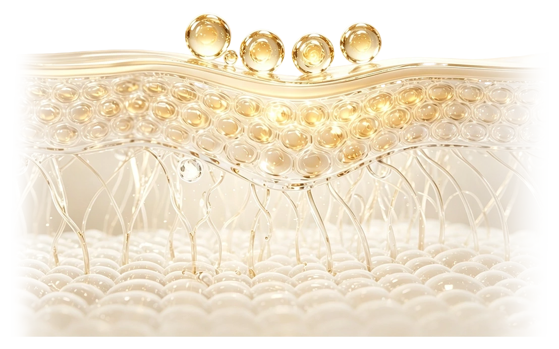 3D skin cross-section showing collagen regeneration in the dermis