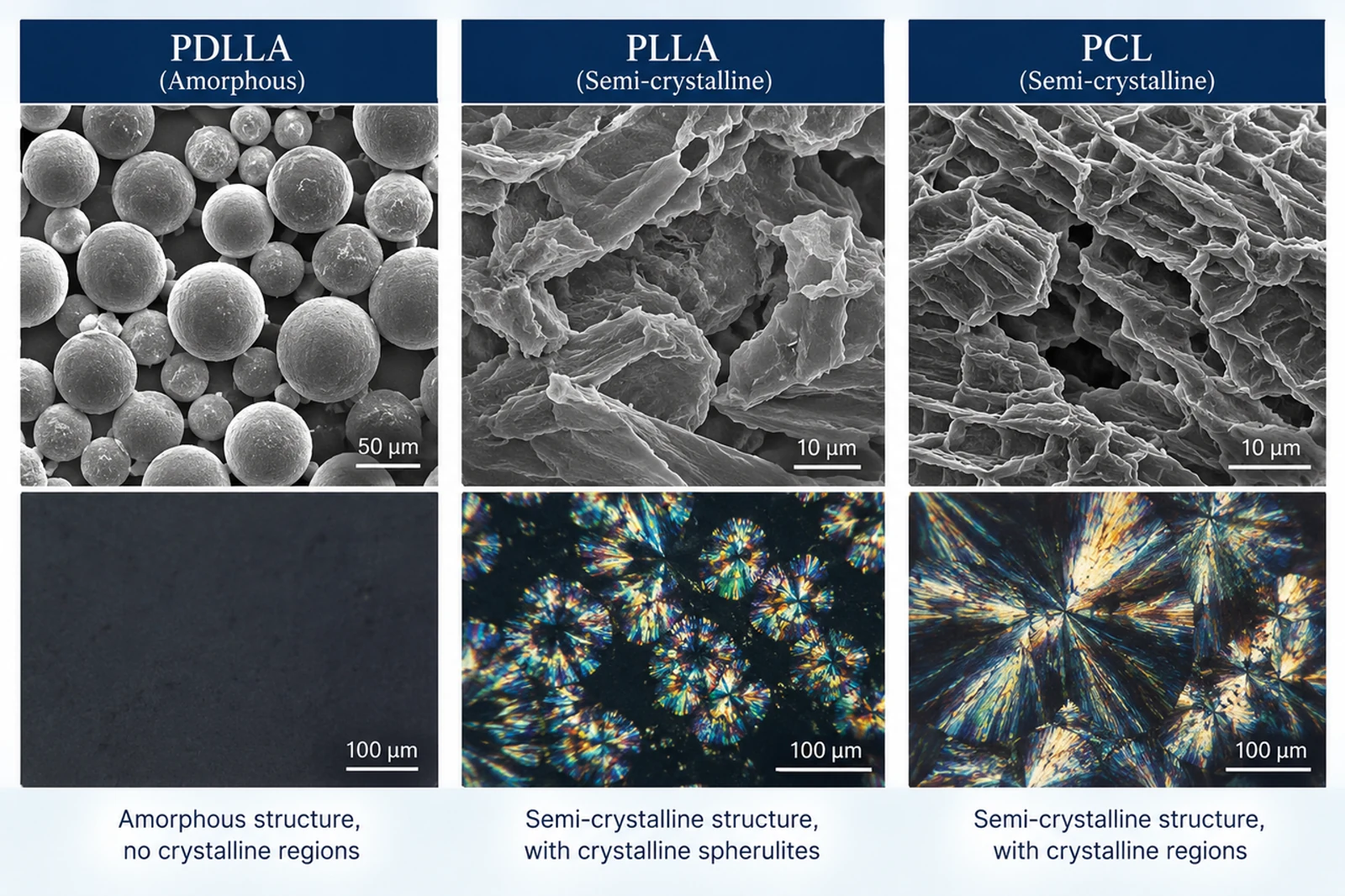 Microscopy comparison of PDLLA, PLLA, and PCL structures