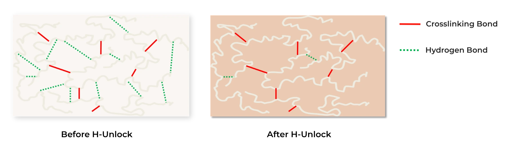 H-Unlock Cross-linking Technology