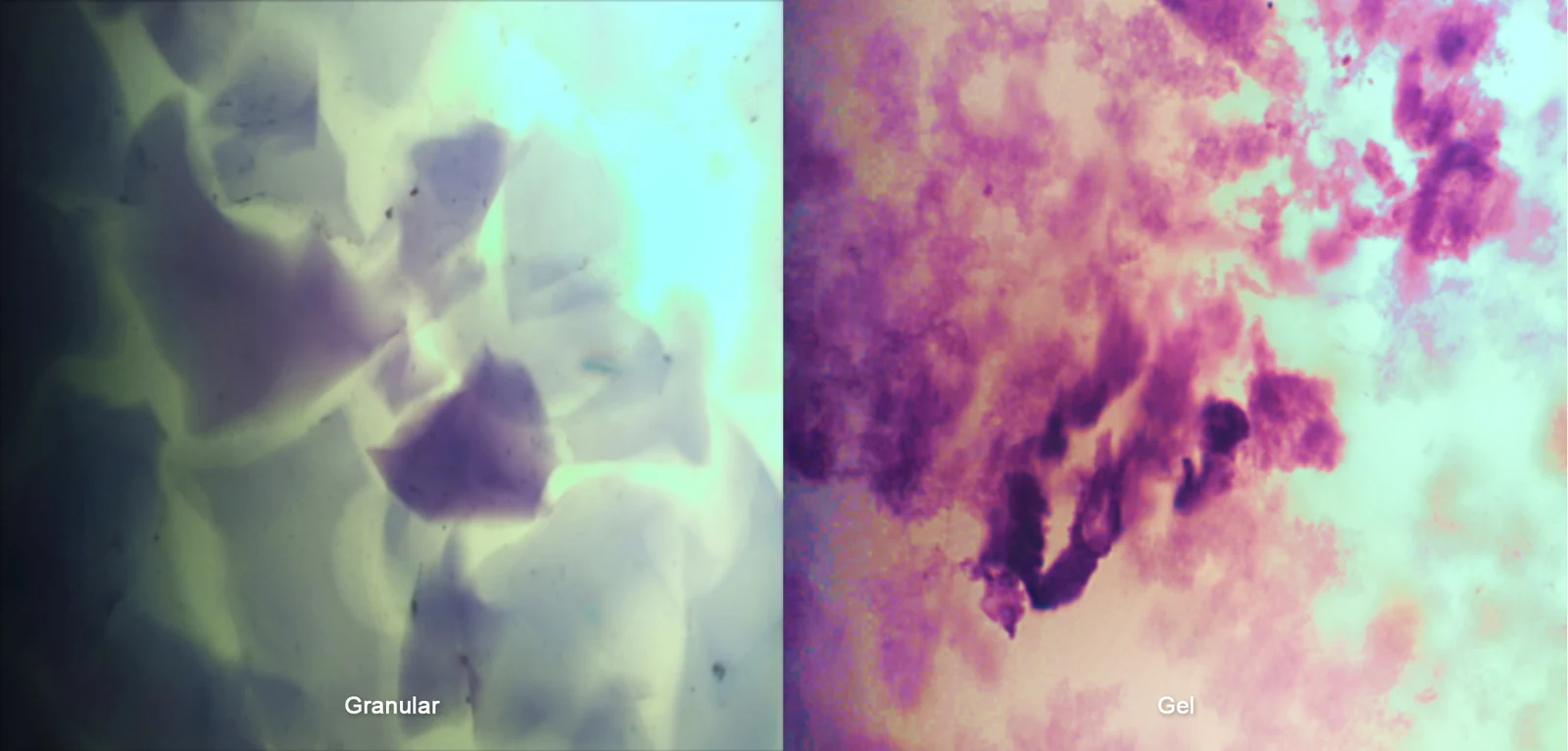 Single-Phase Homogeneous Gel